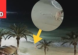 Imagen compartida por Proyecto Mastral en X.