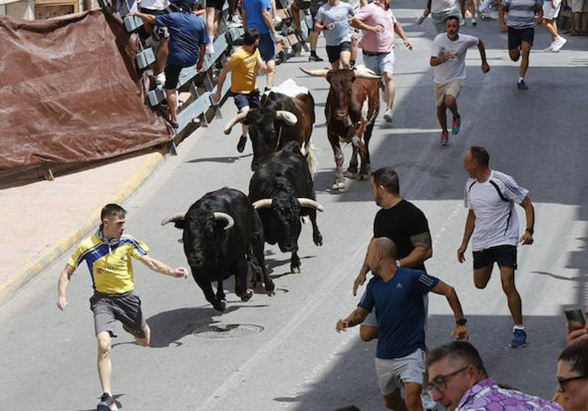 Varios hombres corren delante de los novillos en el último encierro de las fiestas de Blanca.