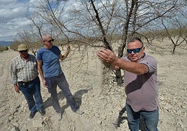 La sequía ahogaba al campo ya en el mes de mayo, en una imagen de archivo.