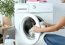 Olvídate de tirar tus prendas desteñidas: el truco más sencillo para recuperarlas en cuestión de minutos.