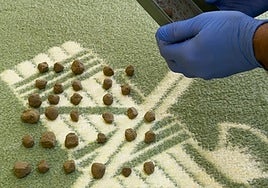 Hachís incautado por la Guardia Civil.