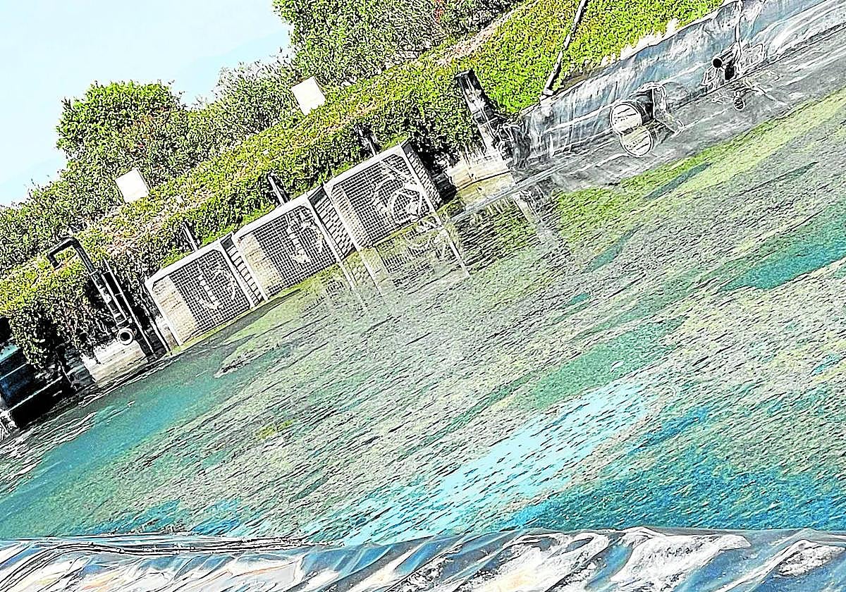 Imagen reciente del lago decorativo de Condado de Alhama.