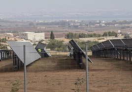 Un operario, en una planta solar situada en la diputación cartagenera de Llano del Beal, con el Mar Menor al fondo, ayer.