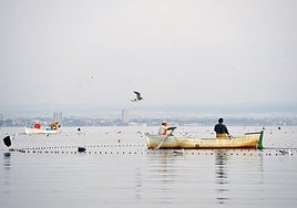 Pesca de langostino en aguas del Mar Menor, en una imagen de archivo.