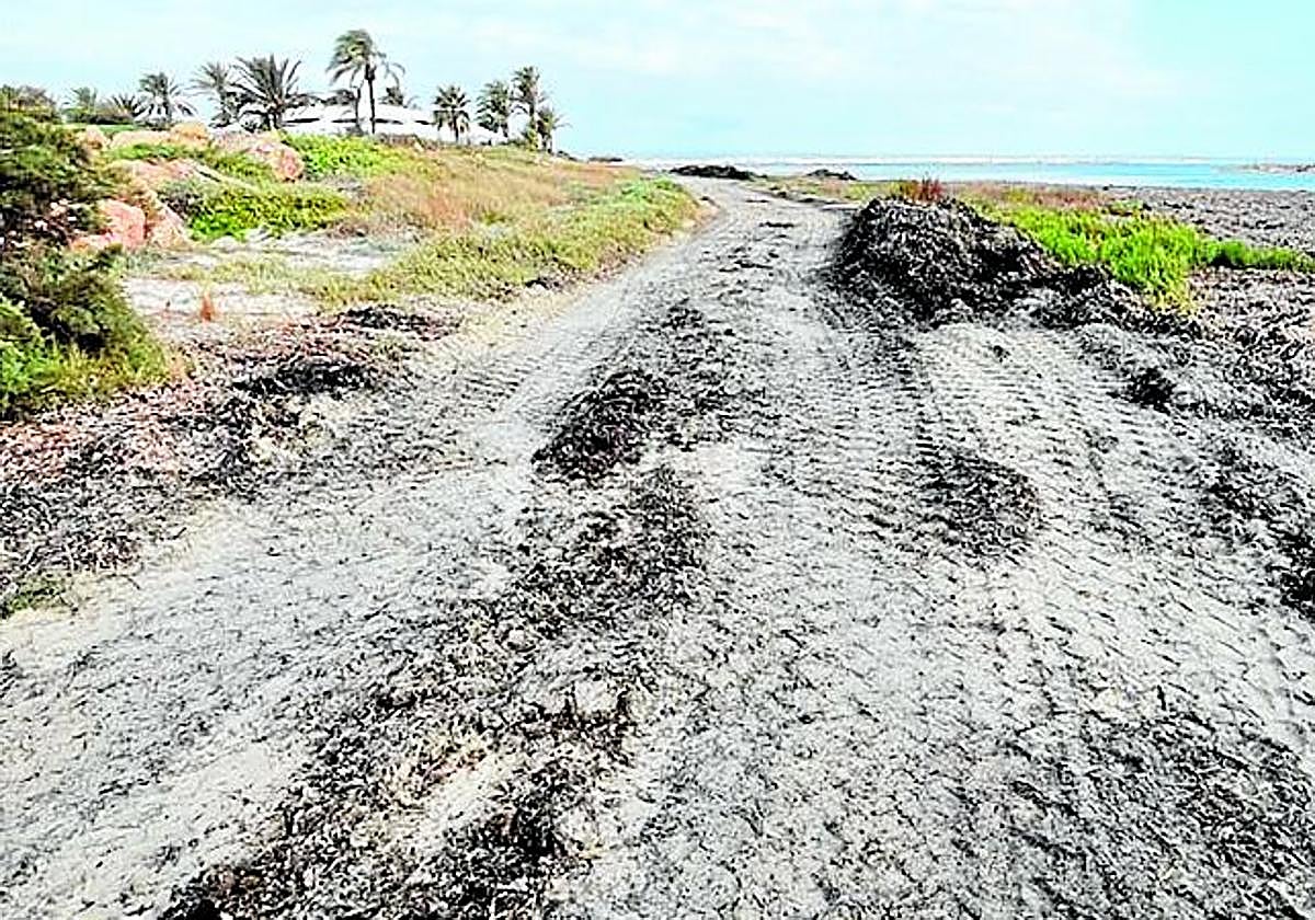 Marcas en la arena en la playa del Escull, en San Javier.