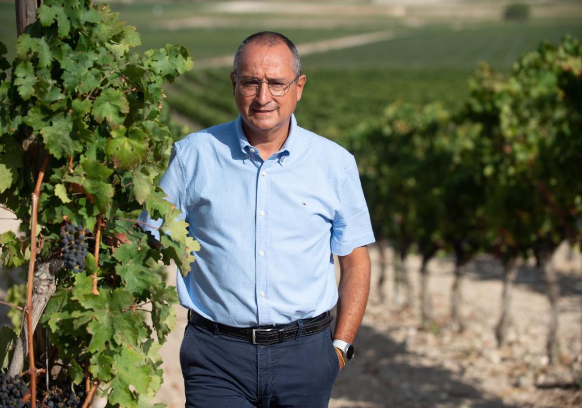 Ángel Gil, presidente de Asevin, en las viñas de la bodega familiar en Jumilla, en una fotografía tomada el pasado jueves.