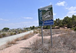 Tramo amojonado de la Cañada Real de Torreagüera en Montevida, en La Alberca.