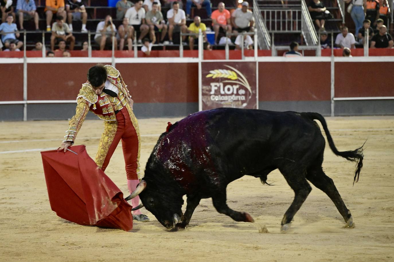 Las imágenes de la corrida de la Feria del Arroz de Calasparra