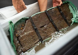 La extracción de la primera porción del barco fenicio de Mazarrón, en imágenes