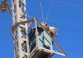 Plumas y garras del búho real electrocutado en Los Melenchones.