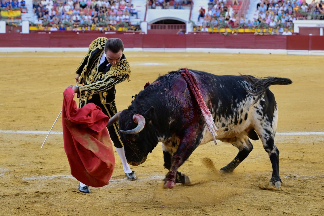 Las imágenes de la corrida goyesca en Murcia