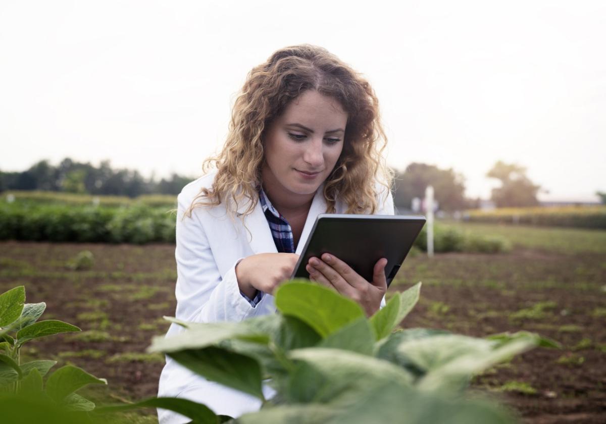 Una ingeniera agrónoma comprueba los resultados de unos cultivos.