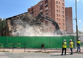 La pala derriba el histórico cocherón junto al paso a nivel de la Alameda de Cervantes.