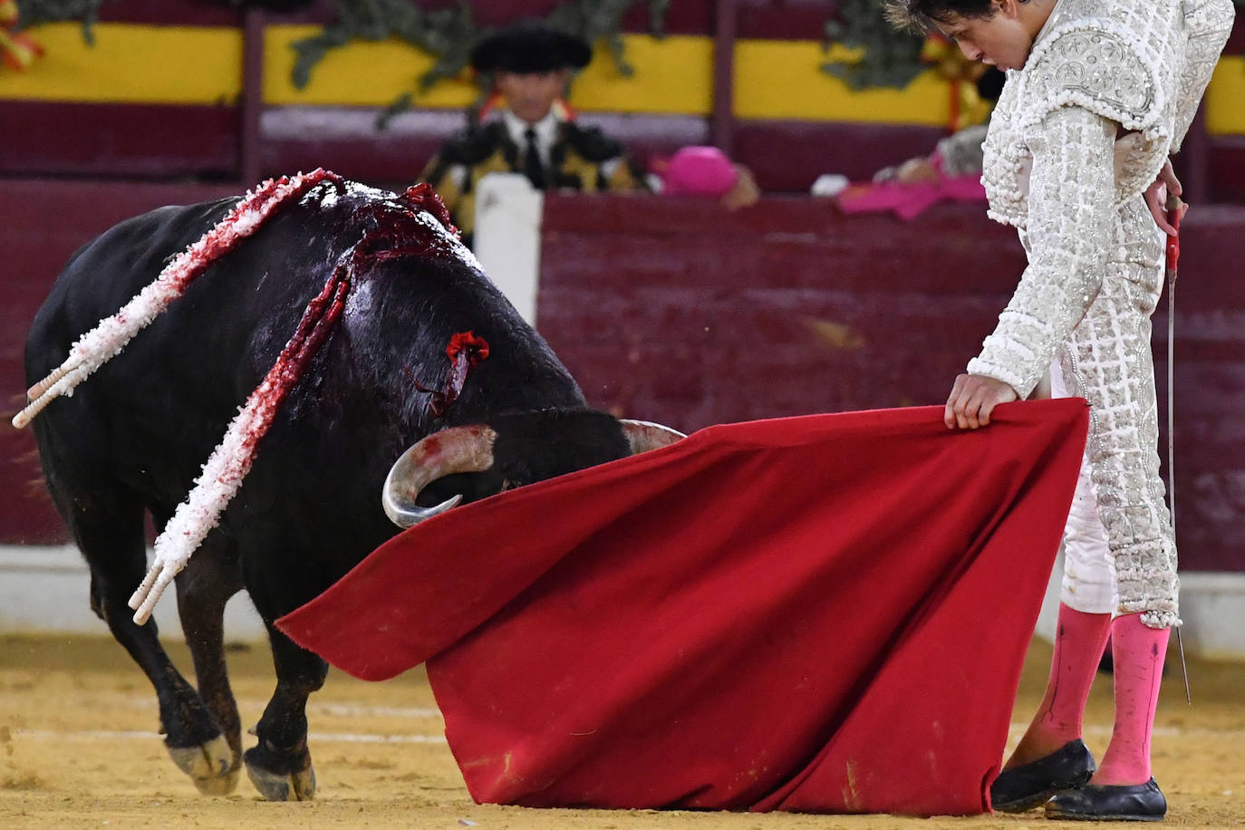 Las imágenes de la corrida de la Romería en Murcia