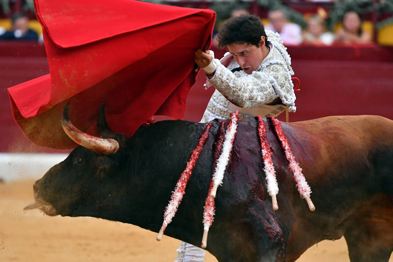 Las imágenes de la corrida de la Romería en Murcia