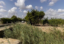 Panorámica del terreno donde se instalará la planta solar en Cartagena, junto al cauce de Miranda.