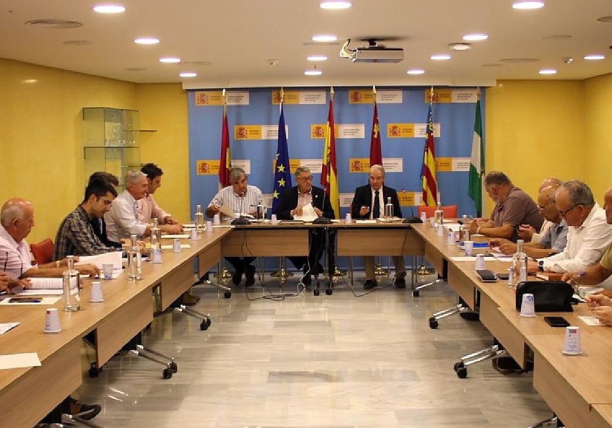 Miembros de la Comisión de Desembalses de la Confederación Hidrográfica del Segura, reunidos ayer en Murcia.