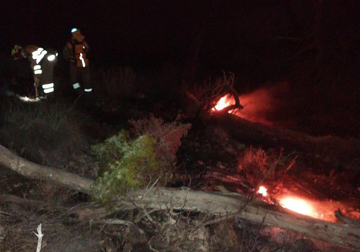Bomberos del CEIS sofocando el incendio forestal en Yecla, este sábado por la noche.