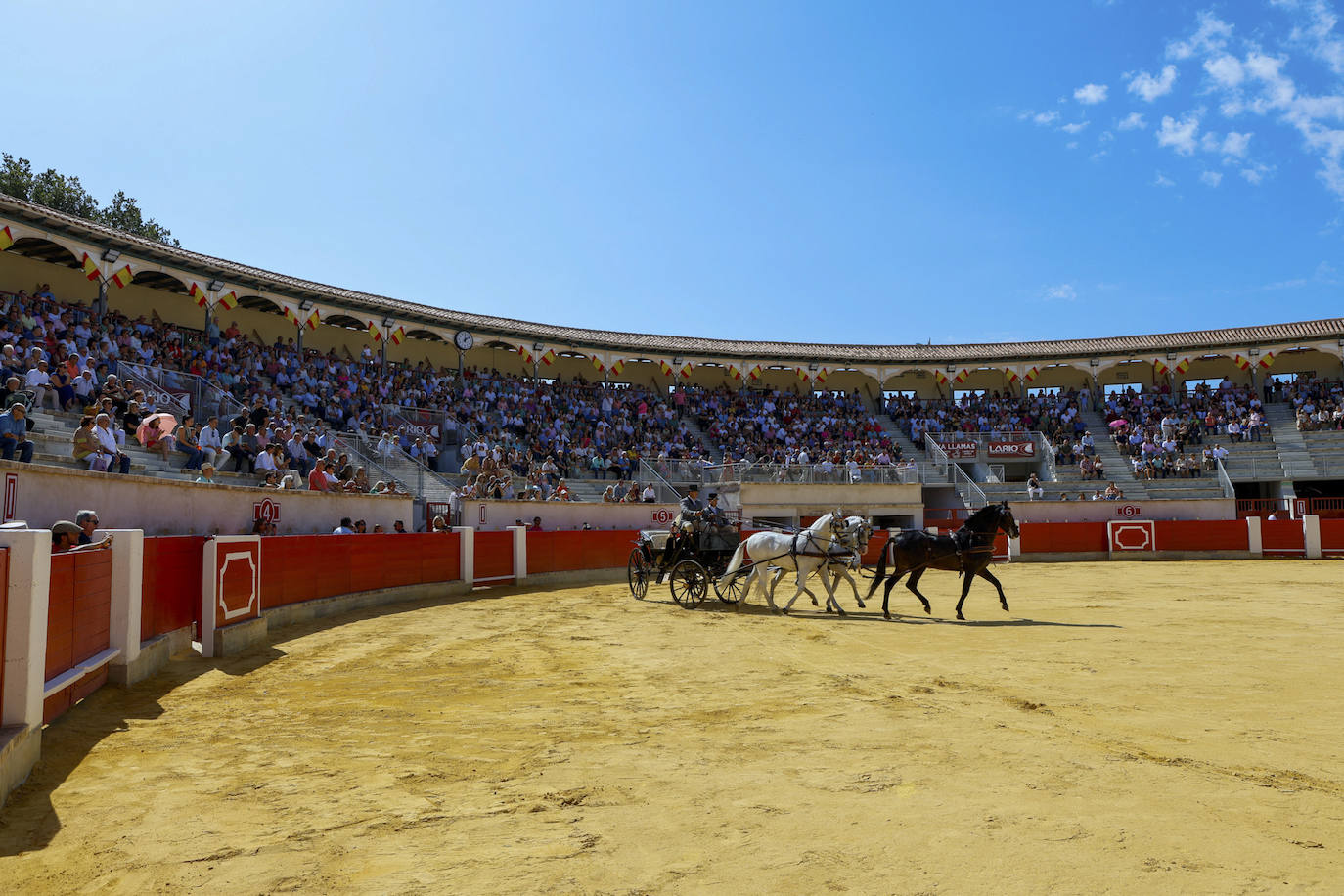 Las imágenes de la exhibición de enganches en Lorca