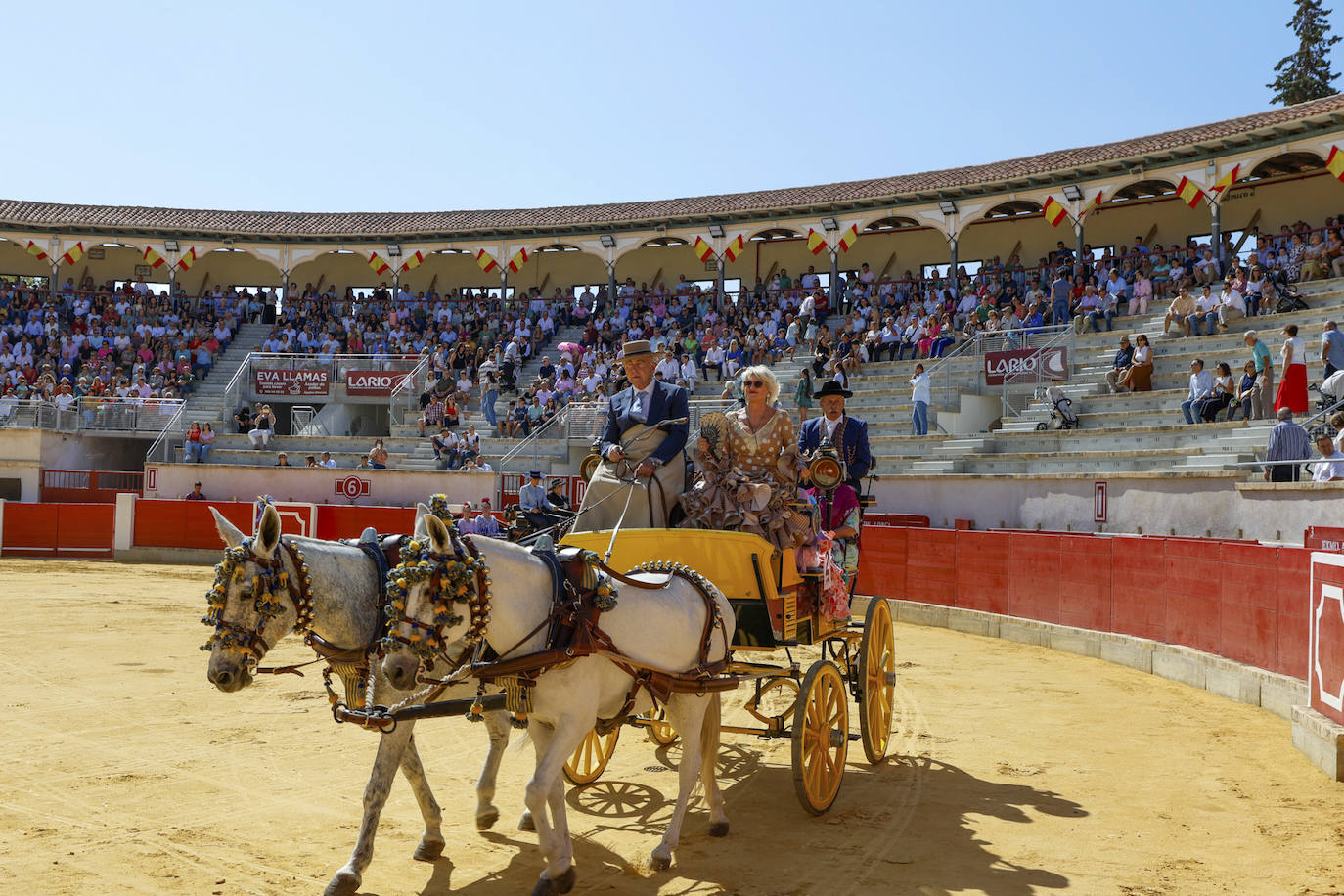 Las imágenes de la exhibición de enganches en Lorca