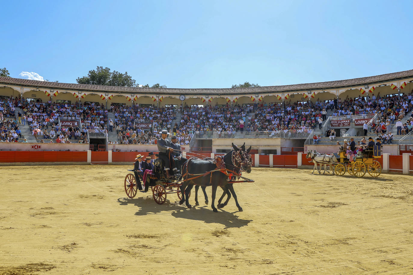 Las imágenes de la exhibición de enganches en Lorca