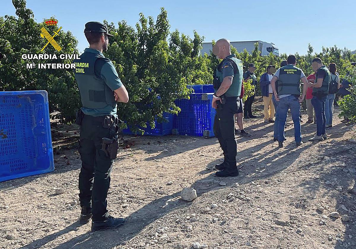 Efectivos de la Guardia Civil en una de las inspecciones.