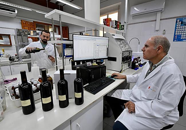 Juan Antonio Bleda, en el Laboratorio Enológico de Jumilla, con los vinos procedentes de las nuevas variedades.