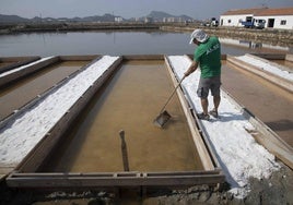 Las salinas de Marchamalo, en imágenes