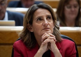 Teresa Ribera, durante una sesión de control del Gobierno esta semana.