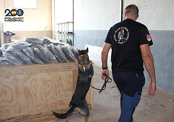 Un agente con un perro inspeccionando el almacén.