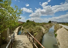 Acequia del Azarbe del Merancho, entre Murcia y Santomera.