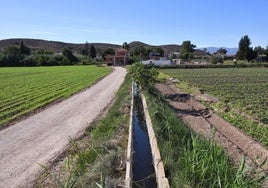 Cultivos de regadío en un huerto de Murcia en una imagen de archivo.