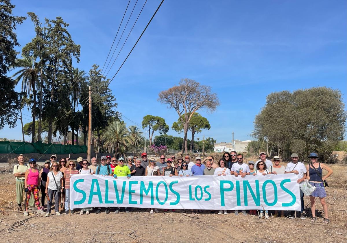 Imagen de la concentración llevada a cabo este sábado por el estado de los pinos de Churra.