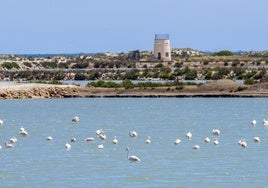 Las Salinas de San Pedro del Pinatar, en una imagen de archivo.