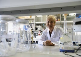 Dedicación.La profesora de investigación María Teresa Hernández, en uno de los laboratorios del Centro de Edafología y Biología Aplicada del Segura (CEBAS).