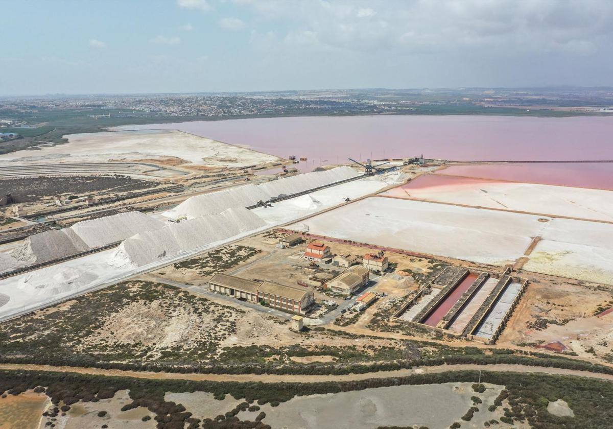 El epicentro de los cuatro seísmos estuvo en la orilla oeste de la Laguna Rosa, en un área comprendida entre Los Montesinos, San Miguel de Salinas y Los Balcones.