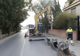 Demolición de las aceras en la alameda Rafael Méndez.