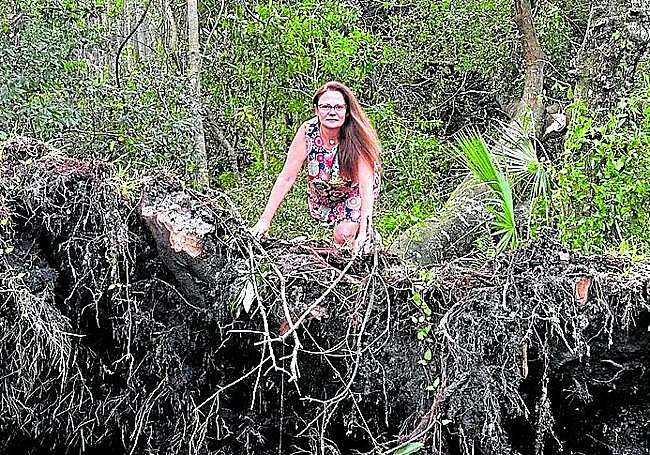 La médica Pilar Alías, junto al árbol arrancado por el huracán junto a su casa.
