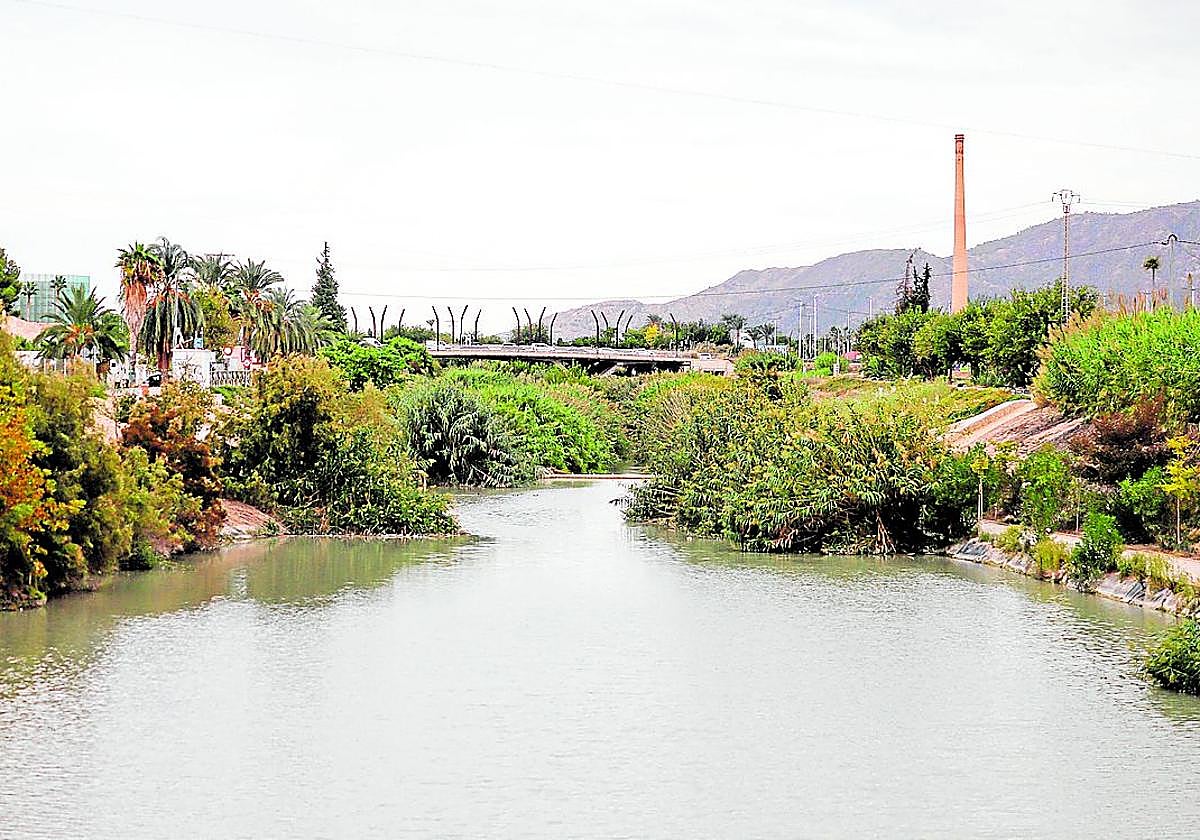 Tramo final del río Segura a su paso por la ciudad de Murcia, a la altura de La Fica.