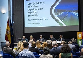 El ministro del Interior, Fernando Grande-Marlaska, interviene ne la rueda de prensa del Pleno del Consejo Superior de Tráfico y Seguridad Vial.