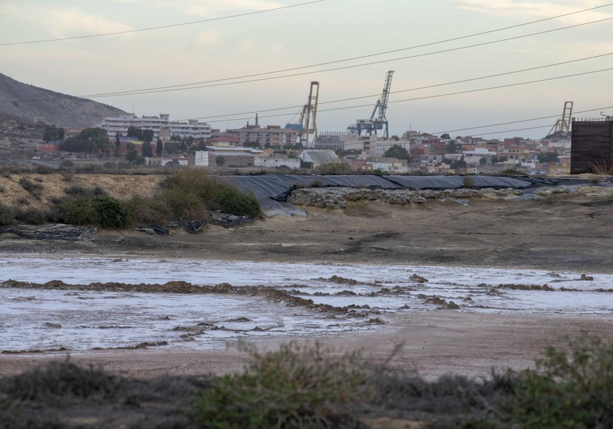 Balsas de Zinsa en Cartagena.