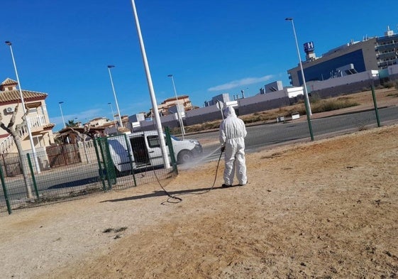 Trabajos de fumigación en una parcela, esta semana.