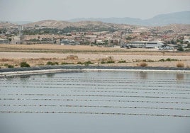 Terrenos que acogerán la ZAL de Murcia, en una imagen de archivo.