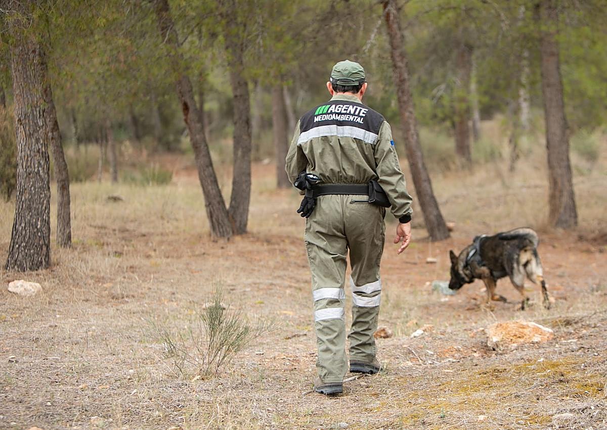 Imagen secundaria 1 - 1. Formación de un nuevo componente, 2. Siguiendo rastros, 3. Recogida de muestras de agua en un vertido al mar. 