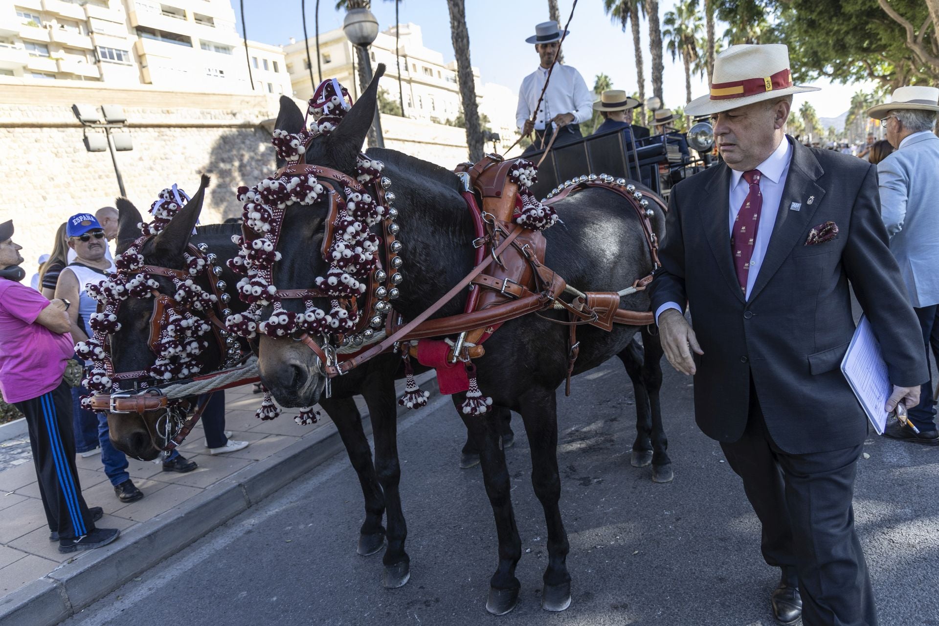 Los carruajes exhiben su encanto por Cartagena
