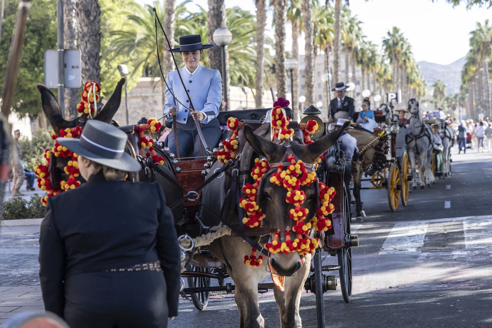 Los carruajes exhiben su encanto por Cartagena