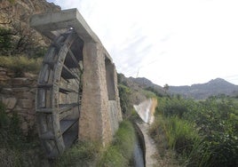 Noria de la Ribera, en la huerta de Ojós en el Valle de Ricote. Escalera en un muro en piedra seca de un huerto de Ojós.