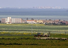 Un tractor recorre una finca agrícola en Cartagena, con el Mar Menor al fondo.