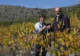 Ángela Pina y José Andrés Prieto brindan con dos copas de Syrah entre las cepas de su viñedo de Viogner.