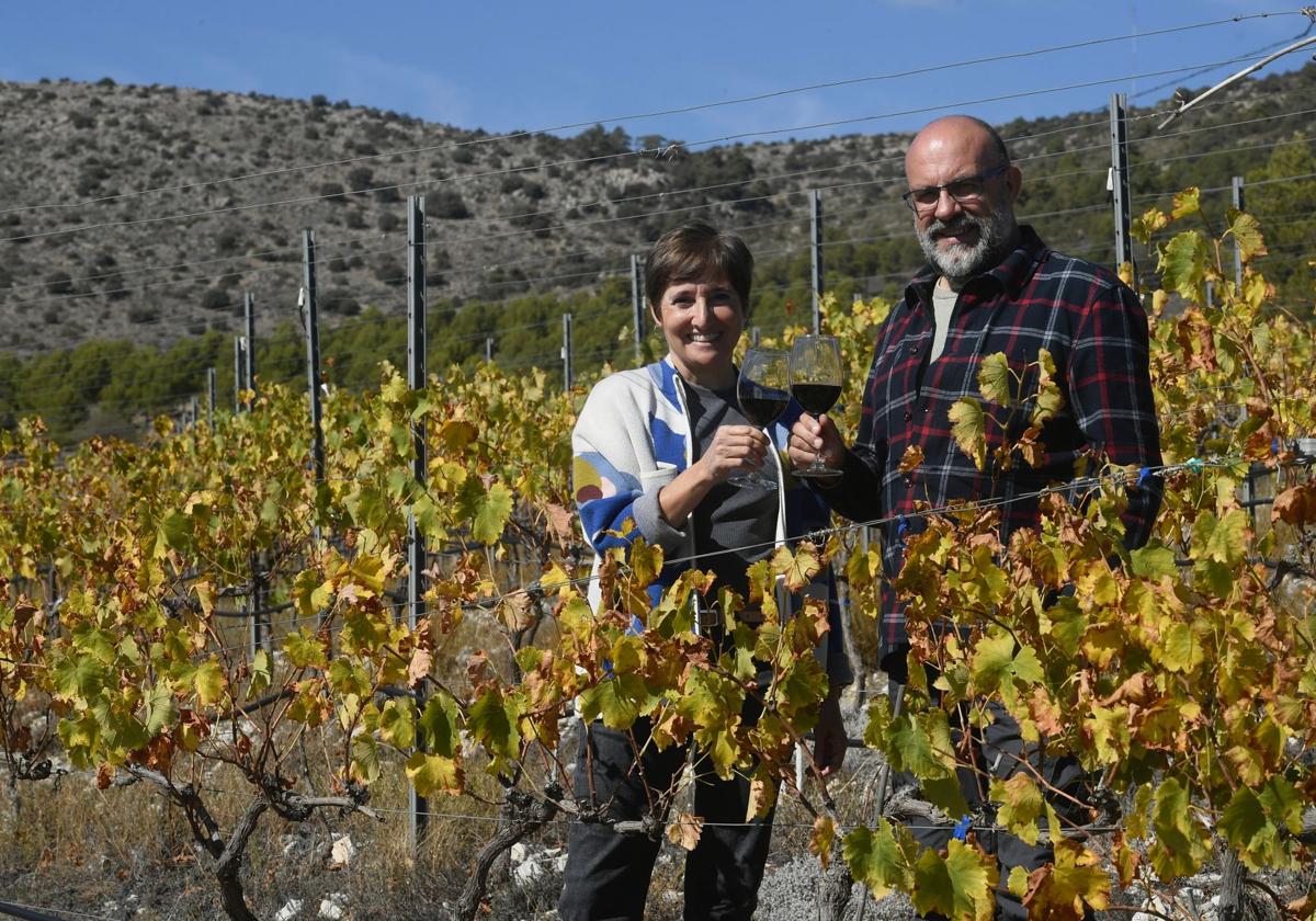 Ángela Pina y José Andrés Prieto brindan con dos copas de Syrah entre las cepas de su viñedo de Viogner.